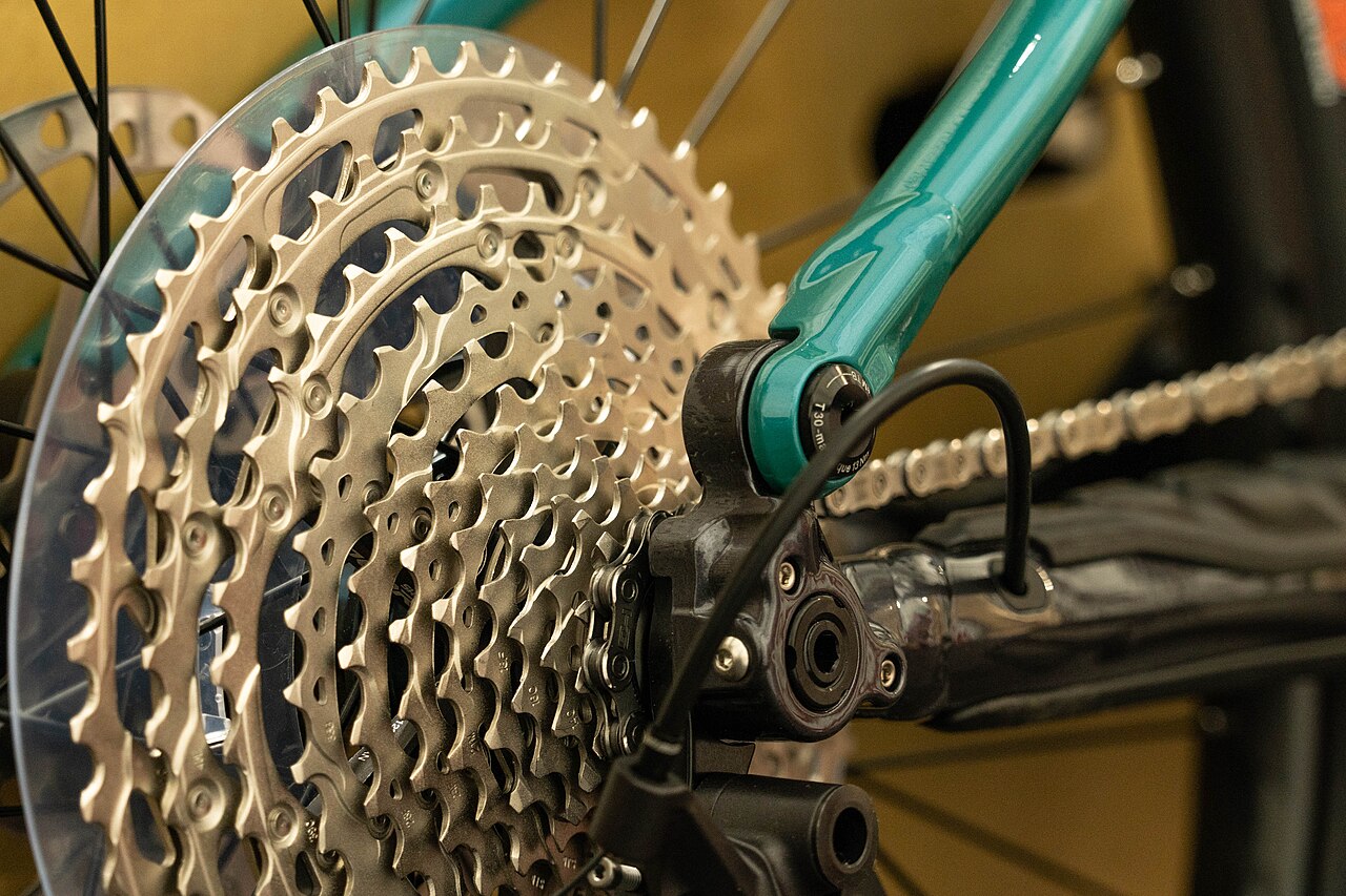 Rear derailleur, chain and cassette of the bicycle
