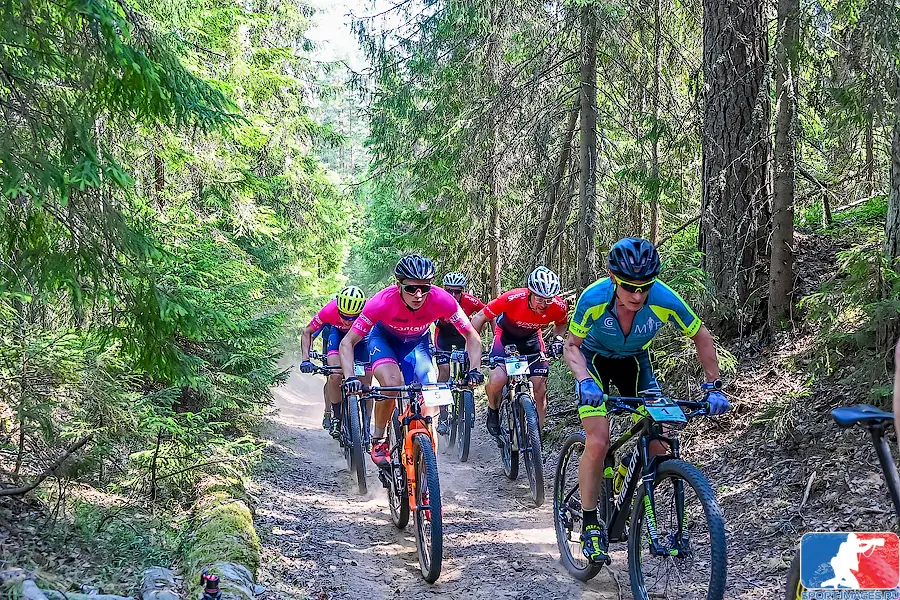 Participants of the Walnut bike marathon ride along the forest trail
