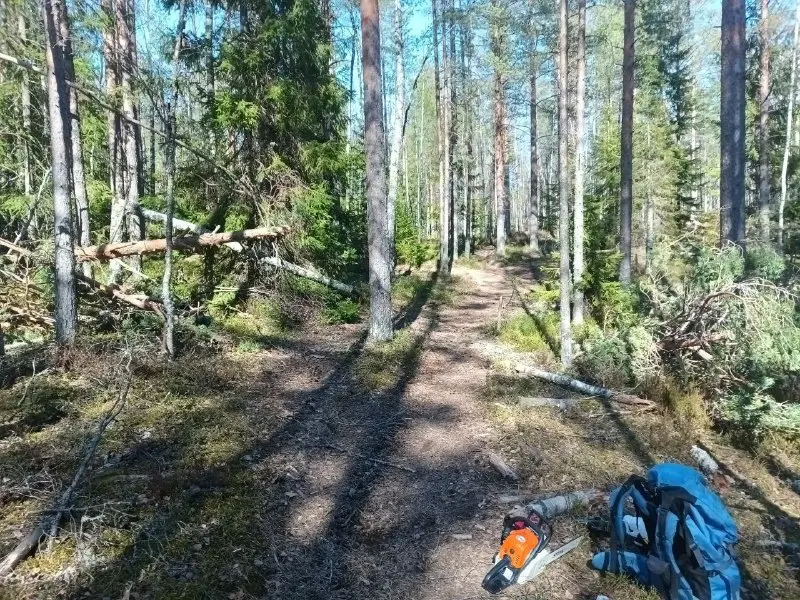 Prepared forest trail and tools at Copper Lake