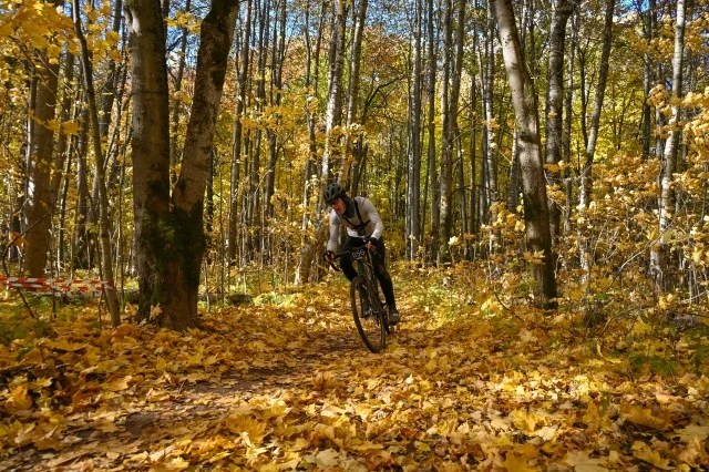 A cyclist on a leafy track in the Park of the 1100th Anniversary