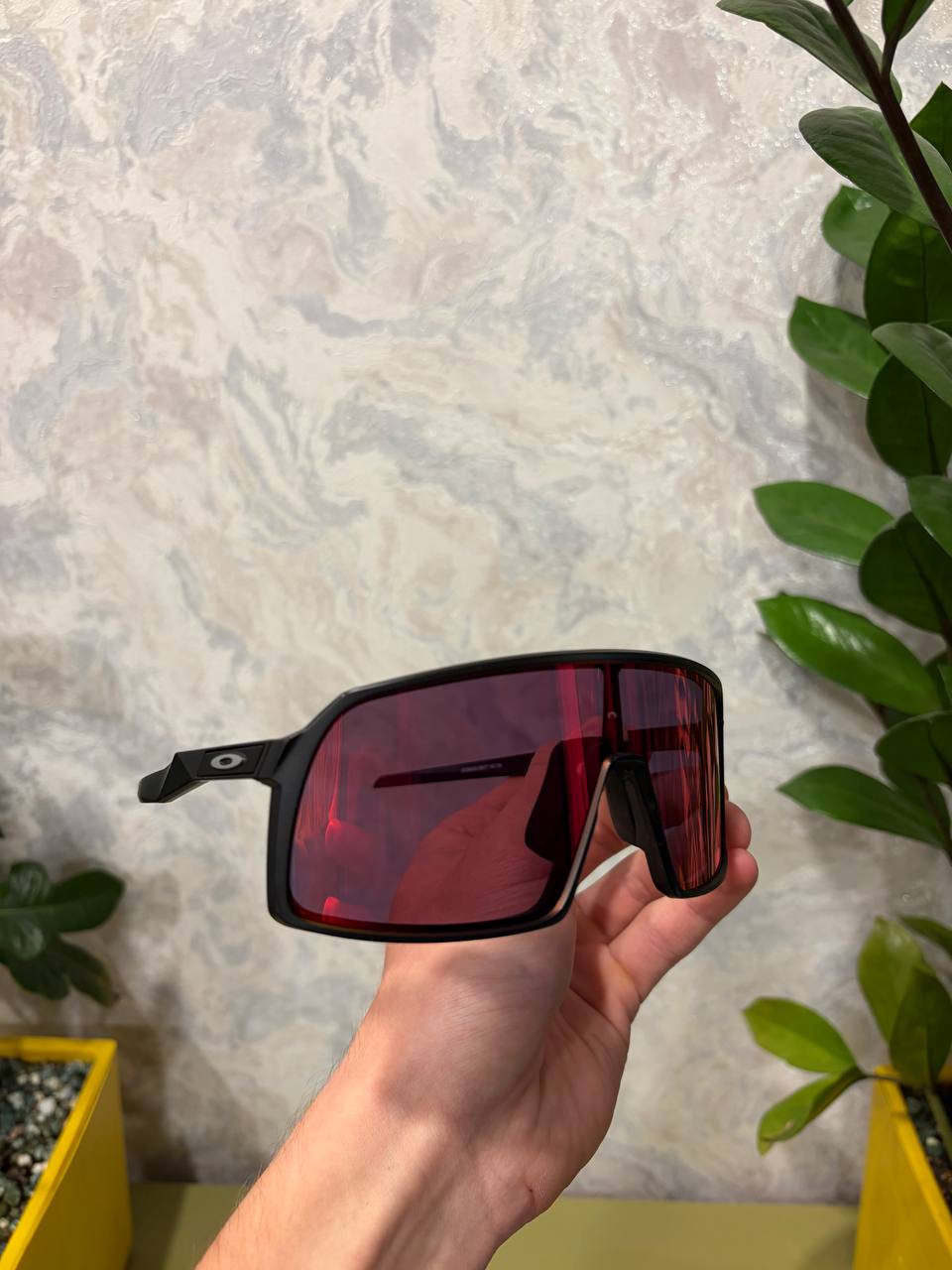 glasses