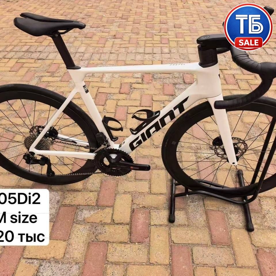 Giant Propel Adv 1 (54)