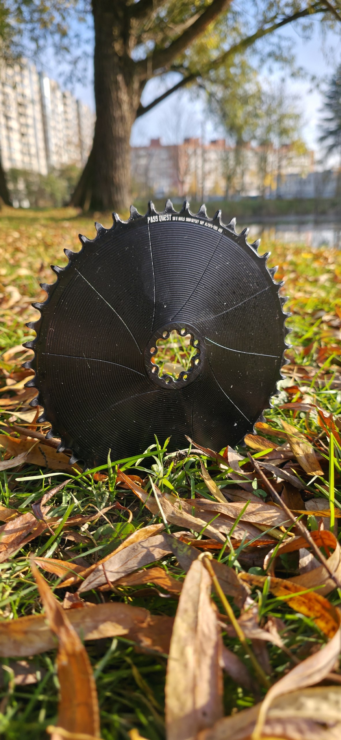 chainrings